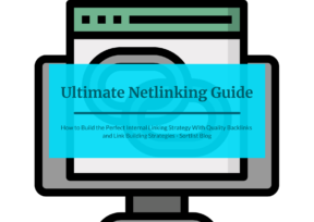 Ultimate Netlinking Guide: Best Internal Linking Strategy for SEO