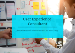 user experience consultant