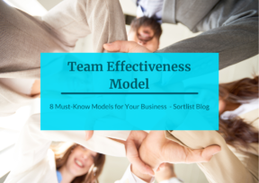 team effectiveness model